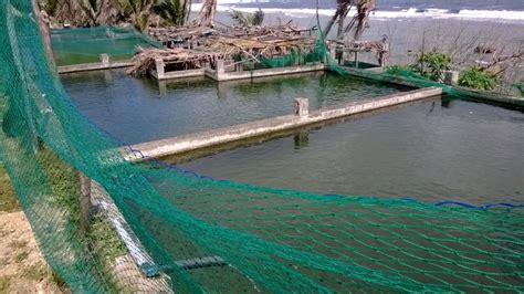 Diura Fishing Village: Home of Mataws and their .